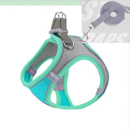 Escape Proof Small Pet Harness & Leash Set