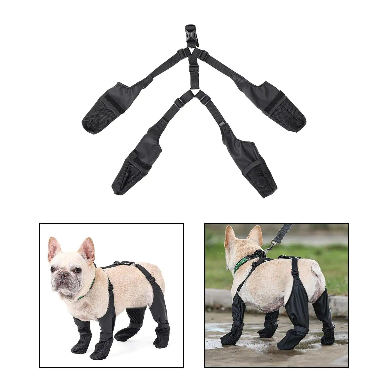 Ultimate Paw Protection Boots with Suspender Design for Dogs