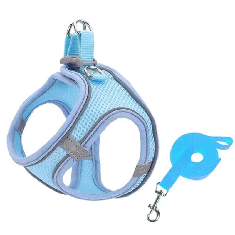 Escape Proof Small Pet Harness & Leash Set