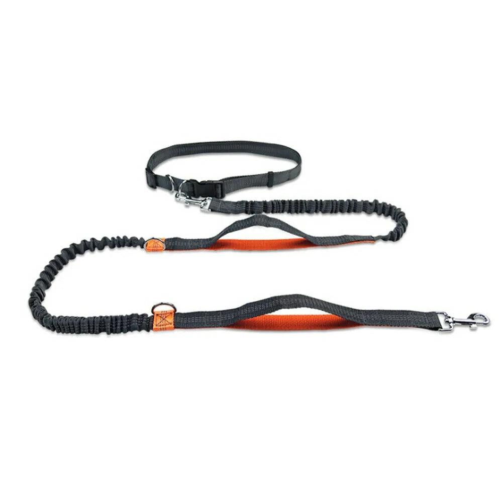 Ultimate Safety Reflective Pet Leash with 3 D Ring System