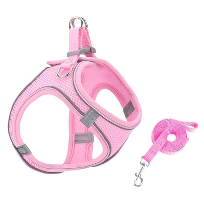 Escape Proof Small Pet Harness & Leash Set