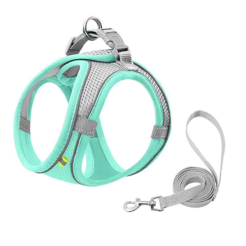 Escape Proof Small Pet Harness & Leash Set