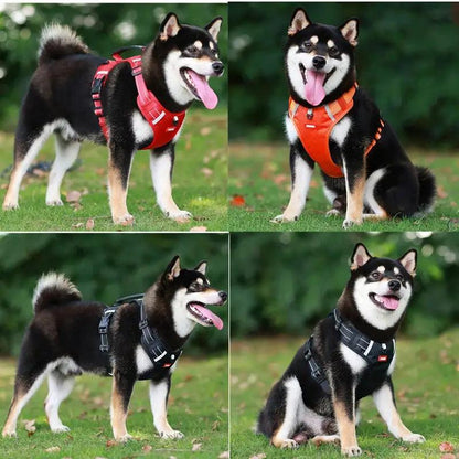 Reflective Safety Dog Harness: Stress-Relieving Design