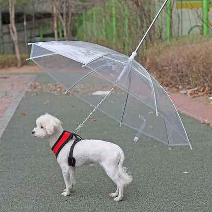 Ultimate Pet Umbrella Leash: Keep Your Furry Friend Dry and Happy