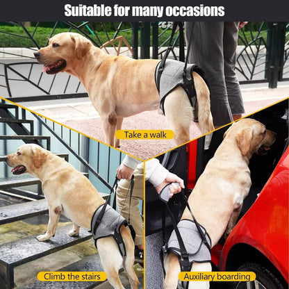 Help Em up Dog Harness for Back Legs for Elderly Dogs with Weak Hind Legs, Disabilities, Arthritis, or ACL Recovery