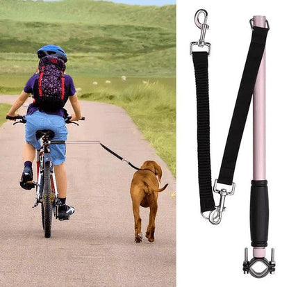 "Hands-Free Dog Walking System: The Ultimate Solution"