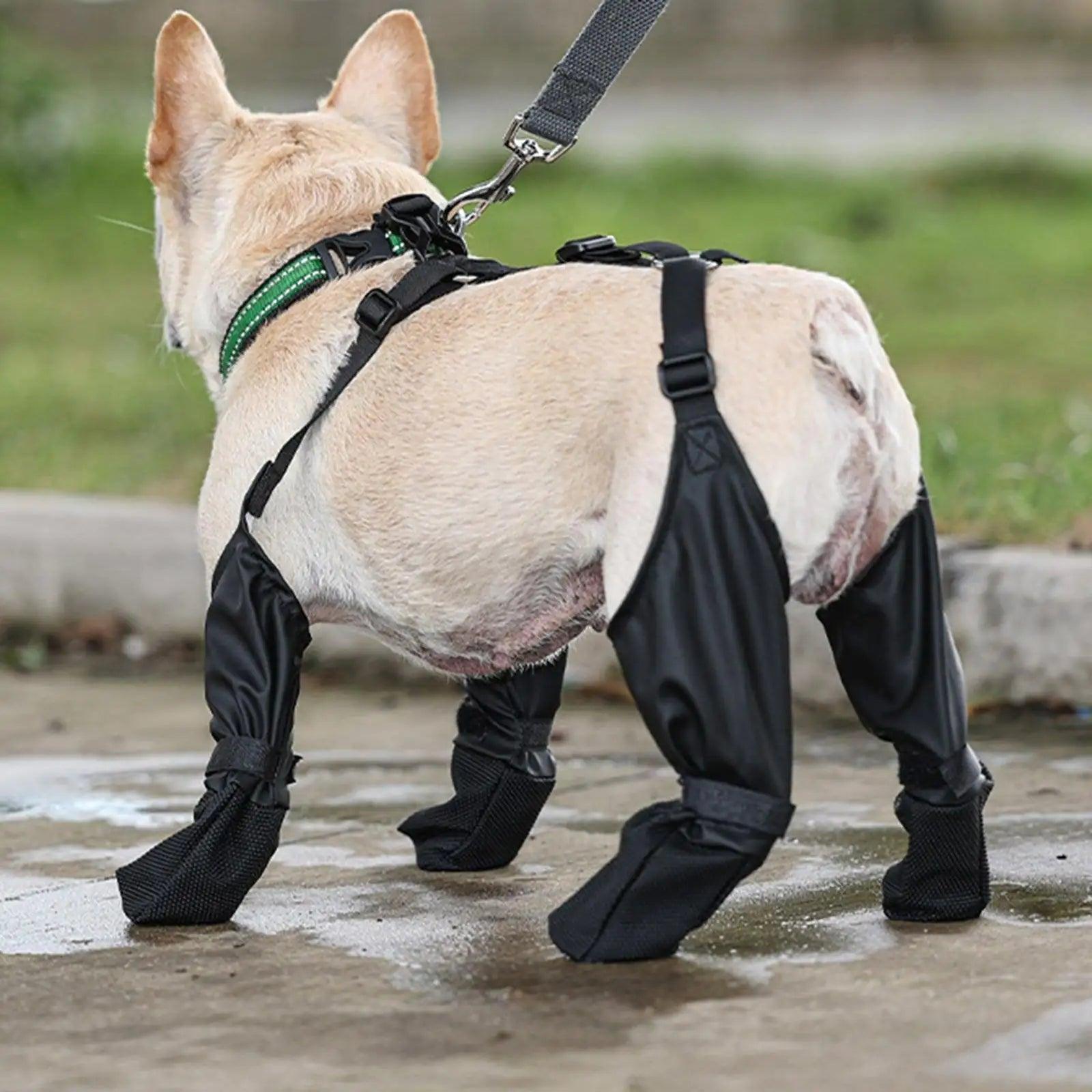 Ultimate Paw Protection Boots with Suspender Design for Dogs