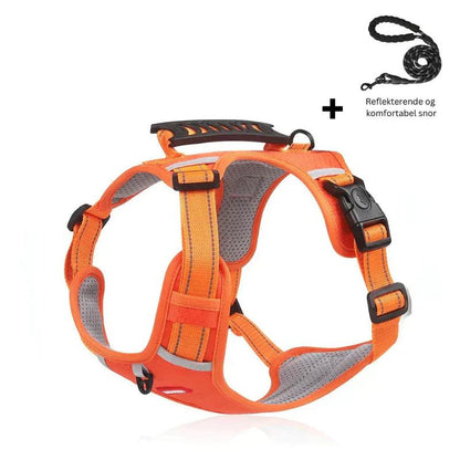 Guardian Glow™ - Illuminating Anti-Coke Dog Harness