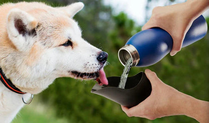 "Portable Dog Water Bottle with Built-In Bowl - 25 Oz Stainless Steel"