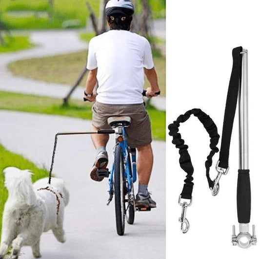 "Hands-Free Dog Walking System: The Ultimate Solution"