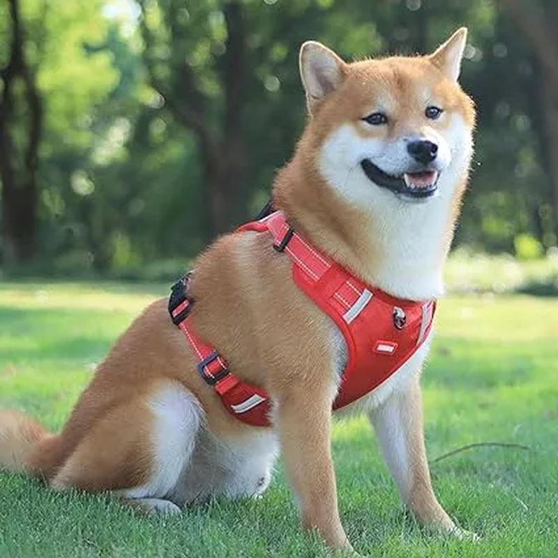 Reflective Safety Dog Harness: Stress-Relieving Design