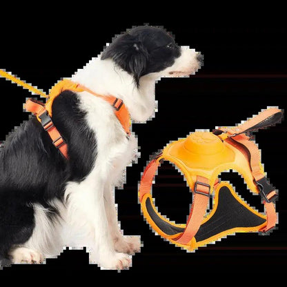 "Ultimate Comfort Pet Harness & Leash Set"