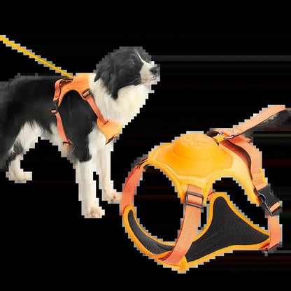 "Ultimate Comfort Pet Harness & Leash Set"