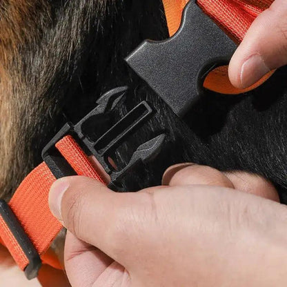 "Ultimate Comfort Pet Harness & Leash Set"