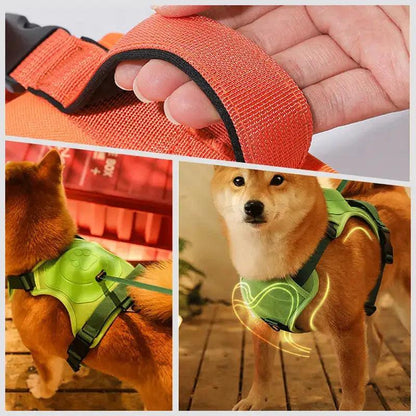 "Ultimate Comfort Pet Harness & Leash Set"