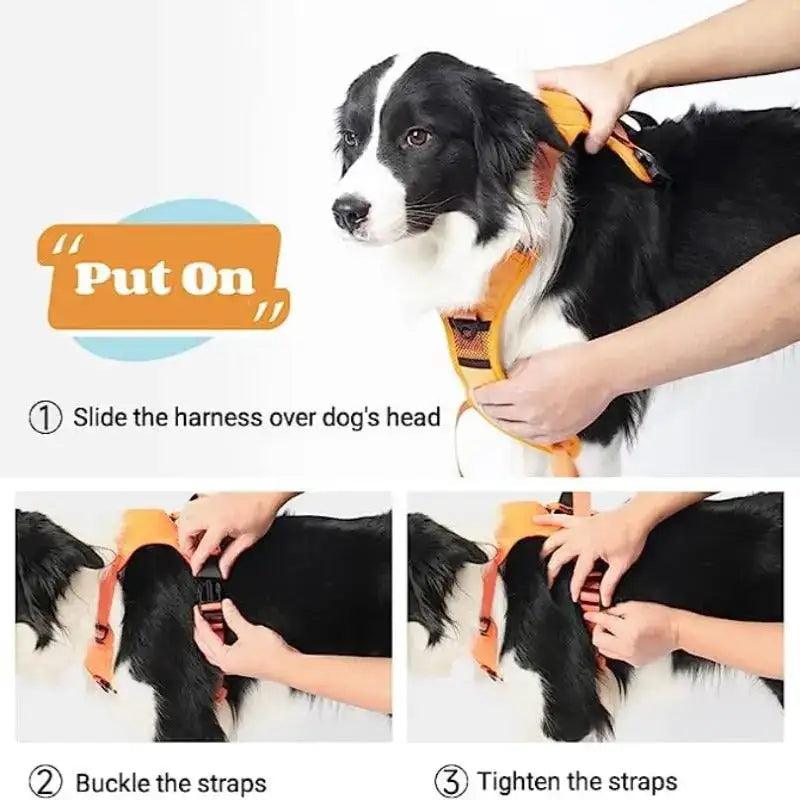 "Ultimate Comfort Pet Harness & Leash Set"