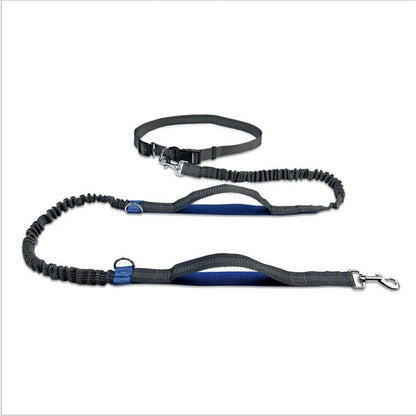 Ultimate Safety Reflective Pet Leash with 3 D Ring System