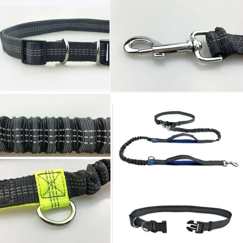 Ultimate Safety Reflective Pet Leash with 3 D Ring System