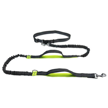 Ultimate Safety Reflective Pet Leash with 3 D Ring System