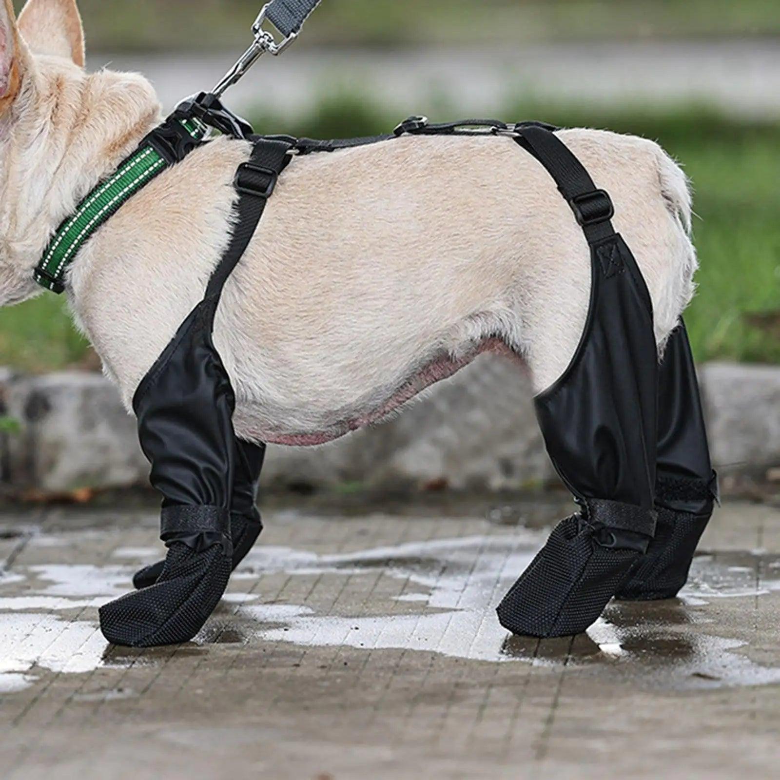 Ultimate Paw Protection Boots with Suspender Design for Dogs