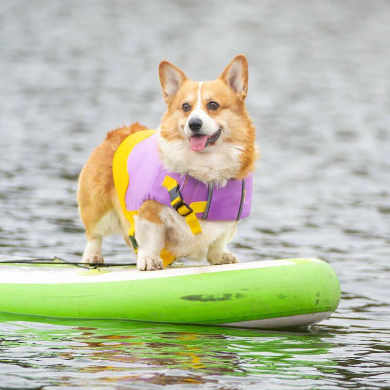 Safesplash Dog Life Jacket - Adjustable Floatation Vest with Harness, Canine Life Vest