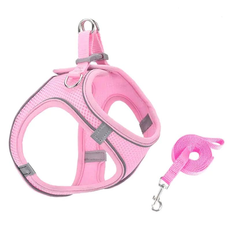 Escape Proof Small Pet Harness & Leash Set