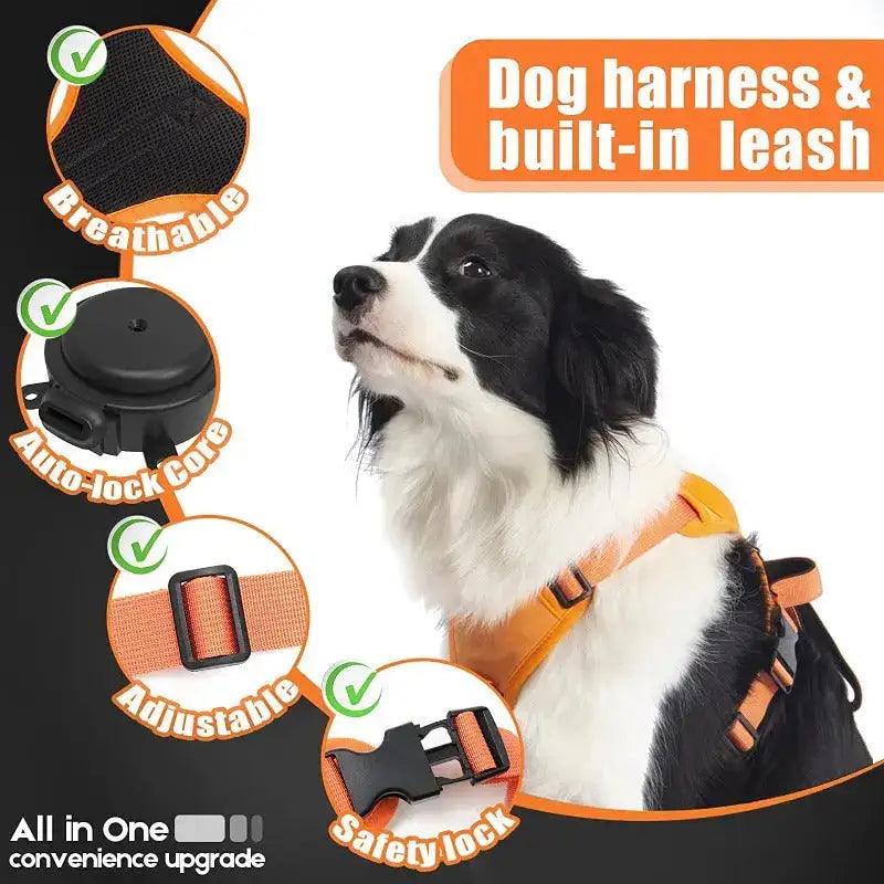 "Ultimate Comfort Pet Harness & Leash Set"