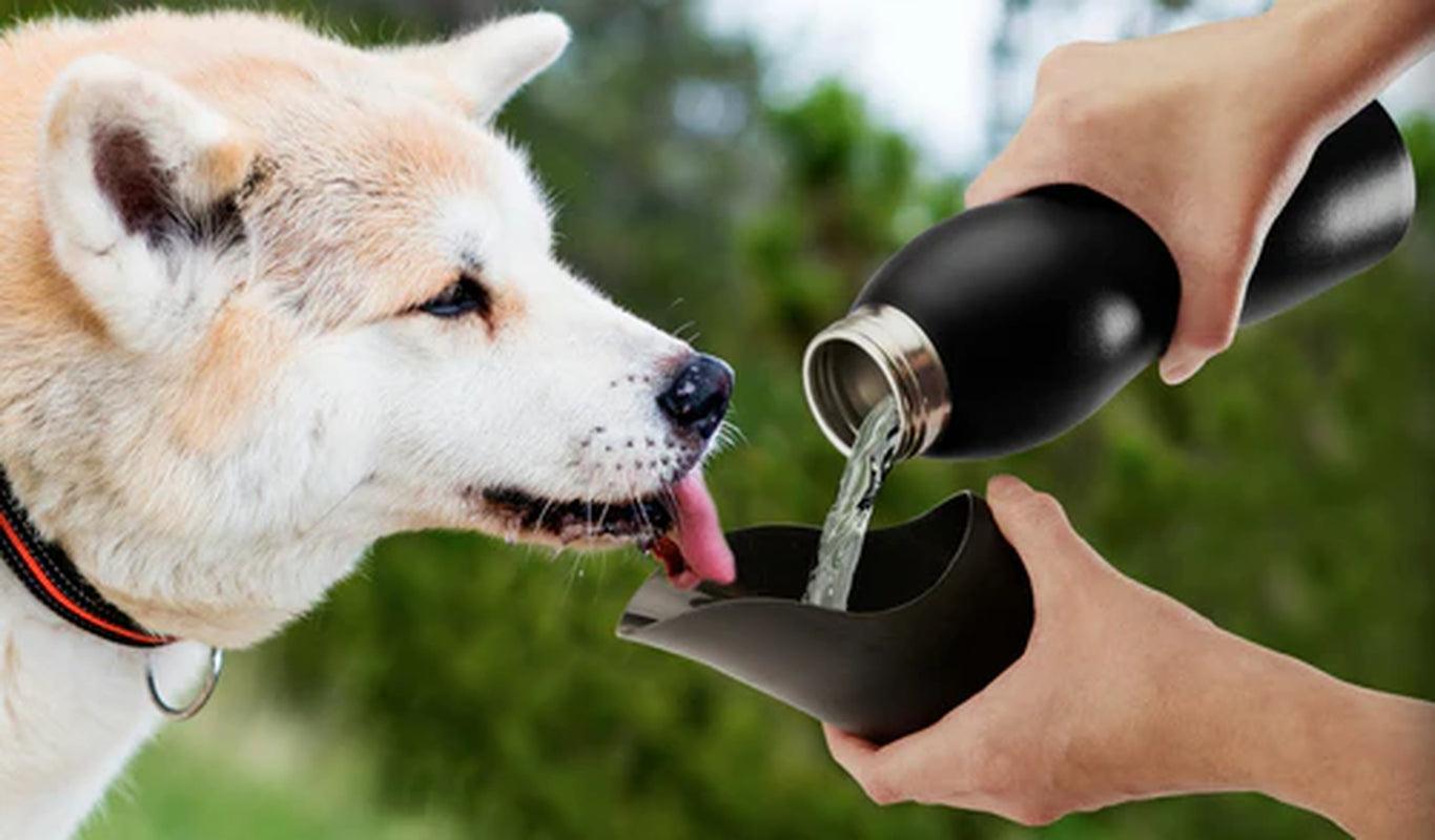 "Portable Dog Water Bottle with Built-In Bowl - 25 Oz Stainless Steel"