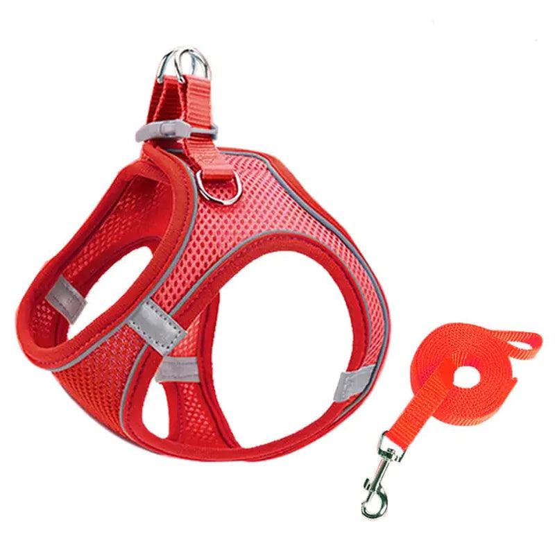 Escape Proof Small Pet Harness & Leash Set