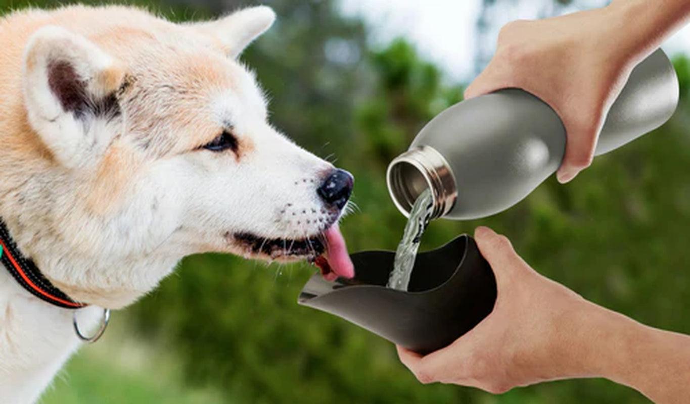 "Portable Dog Water Bottle with Built-In Bowl - 25 Oz Stainless Steel"