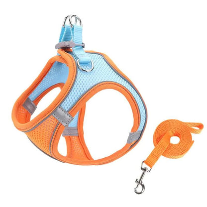 Escape Proof Small Pet Harness & Leash Set