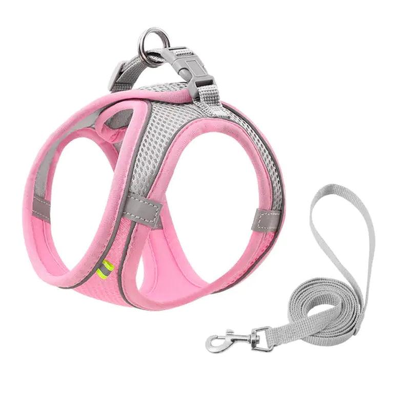 Escape Proof Small Pet Harness & Leash Set