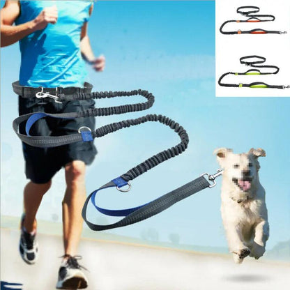 Ultimate Safety Reflective Pet Leash with 3 D Ring System